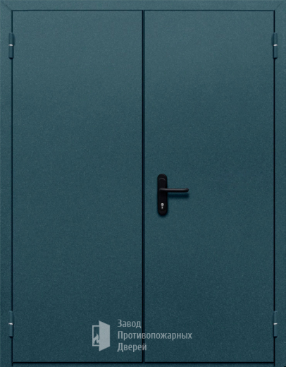 Фото двери «Двупольная глухая №37» в Раменскому