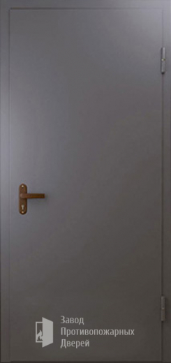 Фото двери «Техническая дверь №1 однопольная» в Раменскому