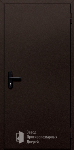 Фото двери «Однопольная глухая №110» в Раменскому