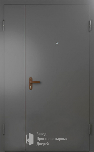 Фото двери «Техническая дверь №6 полуторная» в Раменскому
