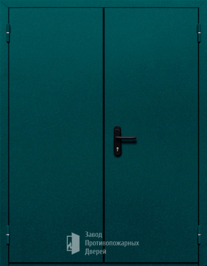 Фото двери «Двупольная глухая №36» в Раменскому