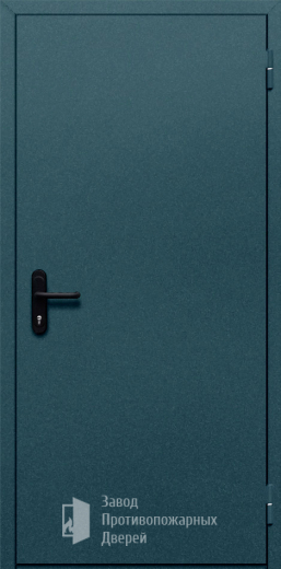 Фото двери «Однопольная глухая №17» в Раменскому