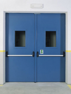 Фото Двупольные двери со стеклом №47