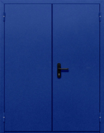 Фото двери «Двупольная глухая №33» в Раменскому